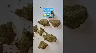 4C Labs - MAC (T25%)(UK Medical Cannabis Prescription)