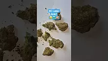 ScottiDunCanna Video Thumbnail