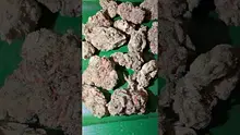 Bajan Video Thumbnail