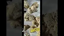 Mary Jane Media 420 Video Thumbnail