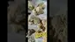 Video Thumbnail: Mary Jane Media 420