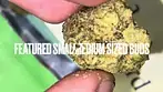 Seed Junky™ PM T25 Permanent Marker Medical - Strain Reviews #42