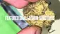 Video Thumbnail: BabyzBudz