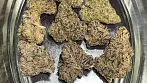 Lot420 AAAA T26 Ripped Off Runtz REVIEW