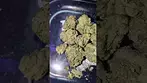 CURALEAF LAVENDER CAKE (UK PRESCRIPTION MEDICATION)