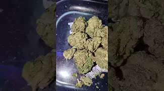CURALEAF LAVENDER CAKE (UK PRESCRIPTION MEDICATION)