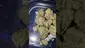 Video Thumbnail: PrescribedBouquet