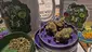 Video Thumbnail: Keep Blazing Stay Amazing
