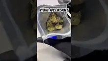 Review Budd Video Thumbnail