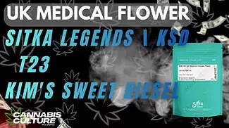UK MEDICAL FLOWER | Sitka Legends | KSD | T23 | Kim's Sweet Diesel