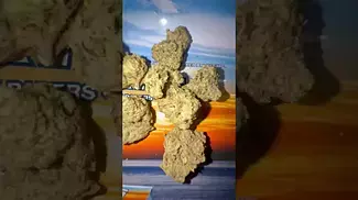 Four20 Pharma - Khalifa Kush Mints 30% THC UK Medicinal Cannabis