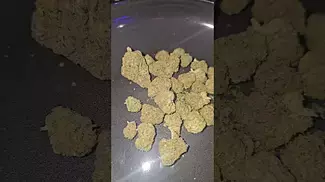 Cali-x Zkittles The Original Z UK Medical Flower 60 Second Review