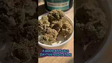 Stu Pot Video Thumbnail