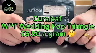  Curaleaf Wedding Pop Triangle (WPT) 