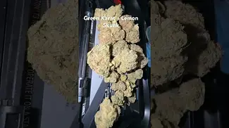 Green Karat - Lemon Skunk T28
