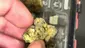Video Thumbnail: BabyzBudz