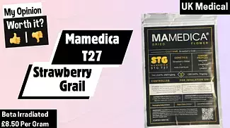 Mamedica T27 Strawberry Grail Uk Medical Review