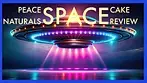 Peace Naturals Space Cake Review