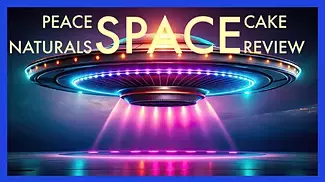 Peace Naturals Space Cake Review