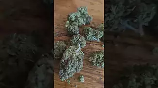 UPSTATE T22 FULL GAS - UK MEDICAL CANNABIS REVIEW