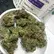 Flower Photo of All Flower/Strains (Prescription Medical Cannabis) Satoline WW T18 White Widow (Cross)