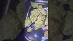 GROW VANILLA ICE (UK PRESCRIPTION MEDICATION)