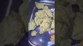 GROW VANILLA ICE (UK PRESCRIPTION MEDICATION)