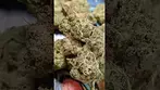 UPSTATE PINEAPPLE GOD (UK PRESCRIPTION MEDICATION)