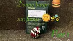 Part 1 Pure Sunfarms™ DBG T21 Donny Burger Medical Cannabis Flower