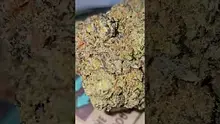 Vinnie's Lounge Video Thumbnail
