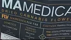 Mamedica FLV T28 Flawless Victory | The Game-Changer for Pain and Stress Relief!