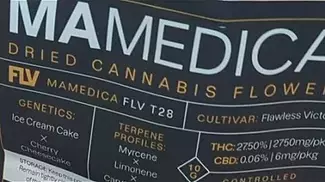 Mamedica FLV T28 Flawless Victory | The Game-Changer for Pain and Stress Relief!