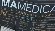 MedCannaBliss Video Thumbnail