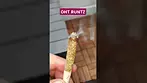 OHT RUNTZ This is how it smokez