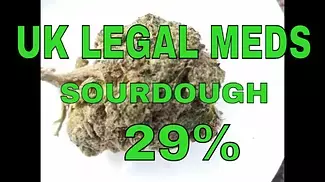 UK LEGAL MEDS: Aurora Pedanios SOURDOUGH 29%