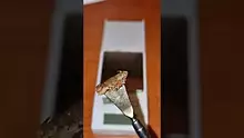 Smacksalad Video Thumbnail
