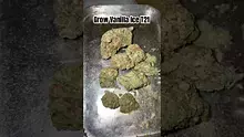 LoudConnoisseur Video Thumbnail
