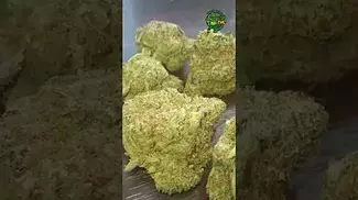 Kasa Verde aka Green Karat - Gazzurple 26% - hybrid, Nice if u like sweet,hazey,sour fuel strains