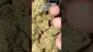 Video Thumbnail: Charlie Chongs