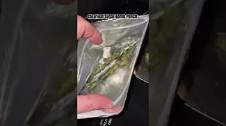 Clearleaf Sugar Bomb Punch Review T21 #ukmedicalcannabis #medicalcannabis