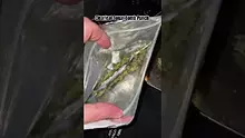 LoudConnoisseur Video Thumbnail