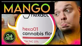 Hexacan Mango - Medical Cannabis  Review