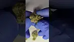 4C Labs MAC1 Miracle Alien Cookies 25%THC review