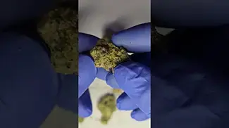 4C Labs MAC1 Miracle Alien Cookies 25%THC review