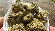 Medical Bud Reviews Video Thumbnail