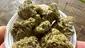 Video Thumbnail: Medical Bud Reviews