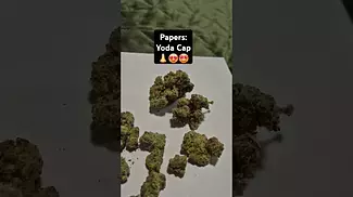 Papers - Yoda Cap (T29%)(UK Medical Cannabis Prescription)