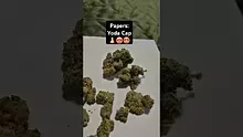 ScottiDunCanna Video Thumbnail