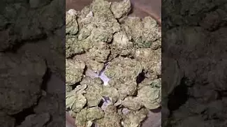 Lumir Cookies Kush 26%