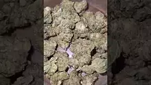 MillsMF Video Thumbnail